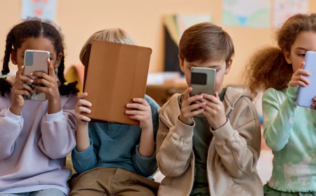 ‘ECA Digital’ ganhou fôlego no Congresso com Felca