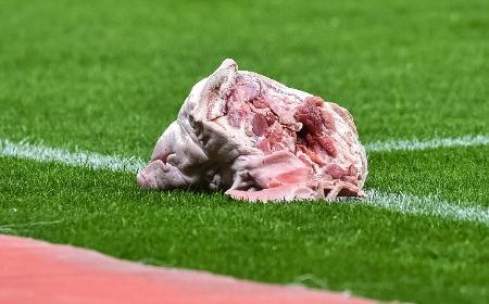 Torcedor do Corinthians é condenado à prisão por atirar cabeça de porco em Dérbi