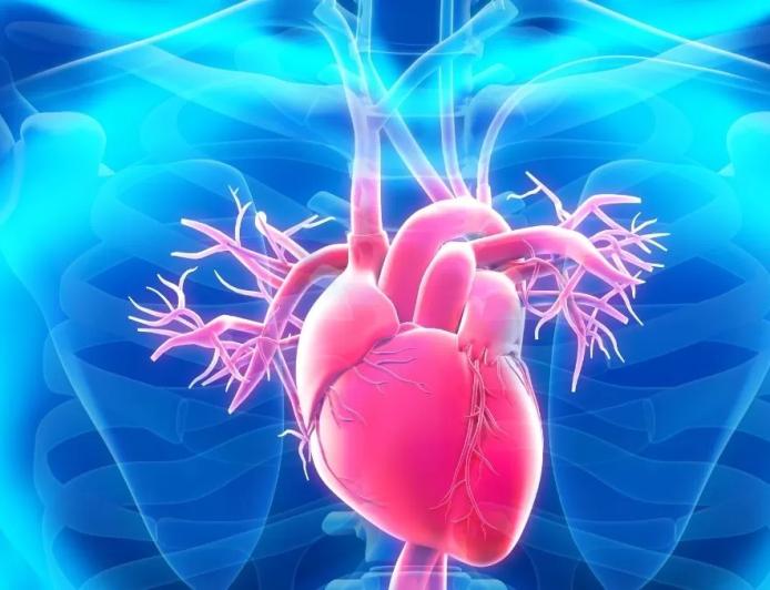 Aneurisma da Aorta
