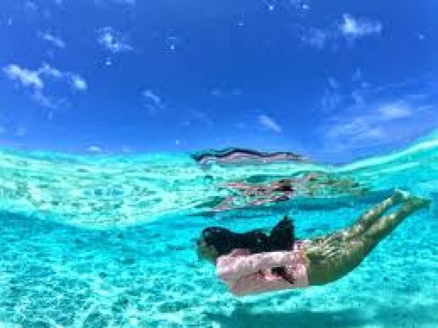 Como tirar fotos embaixo d'água com o celular