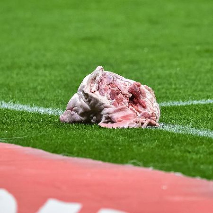 Torcedor do Corinthians é condenado à prisão por atirar cabeça de porco em Dérbi